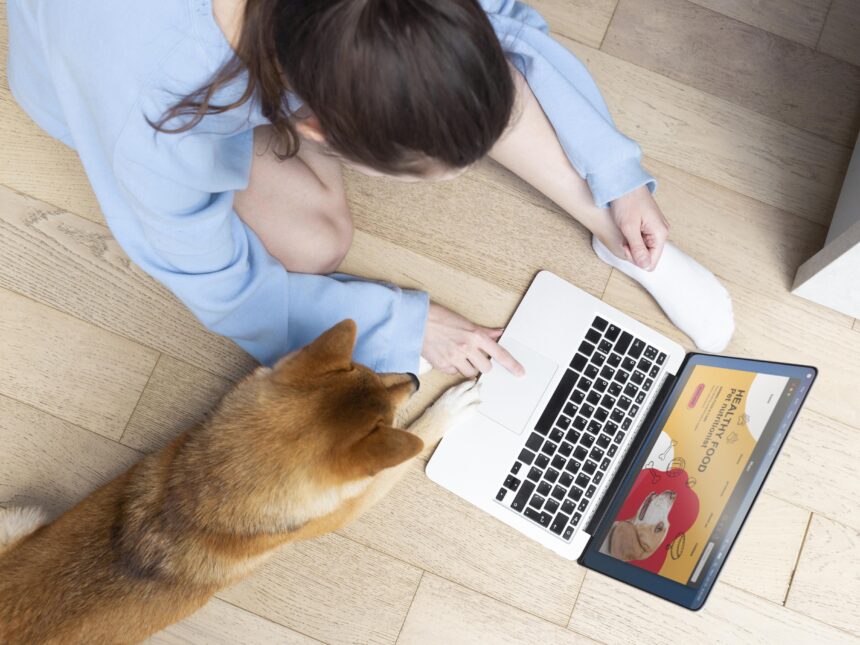 how to unblock websites on school chromebook